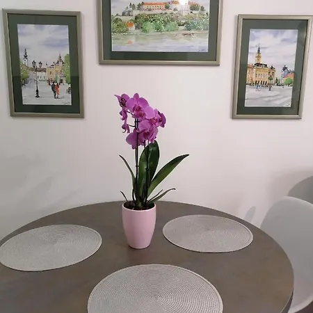 Carmen Deluxe Daire Novi Sad Dış mekan fotoğraf